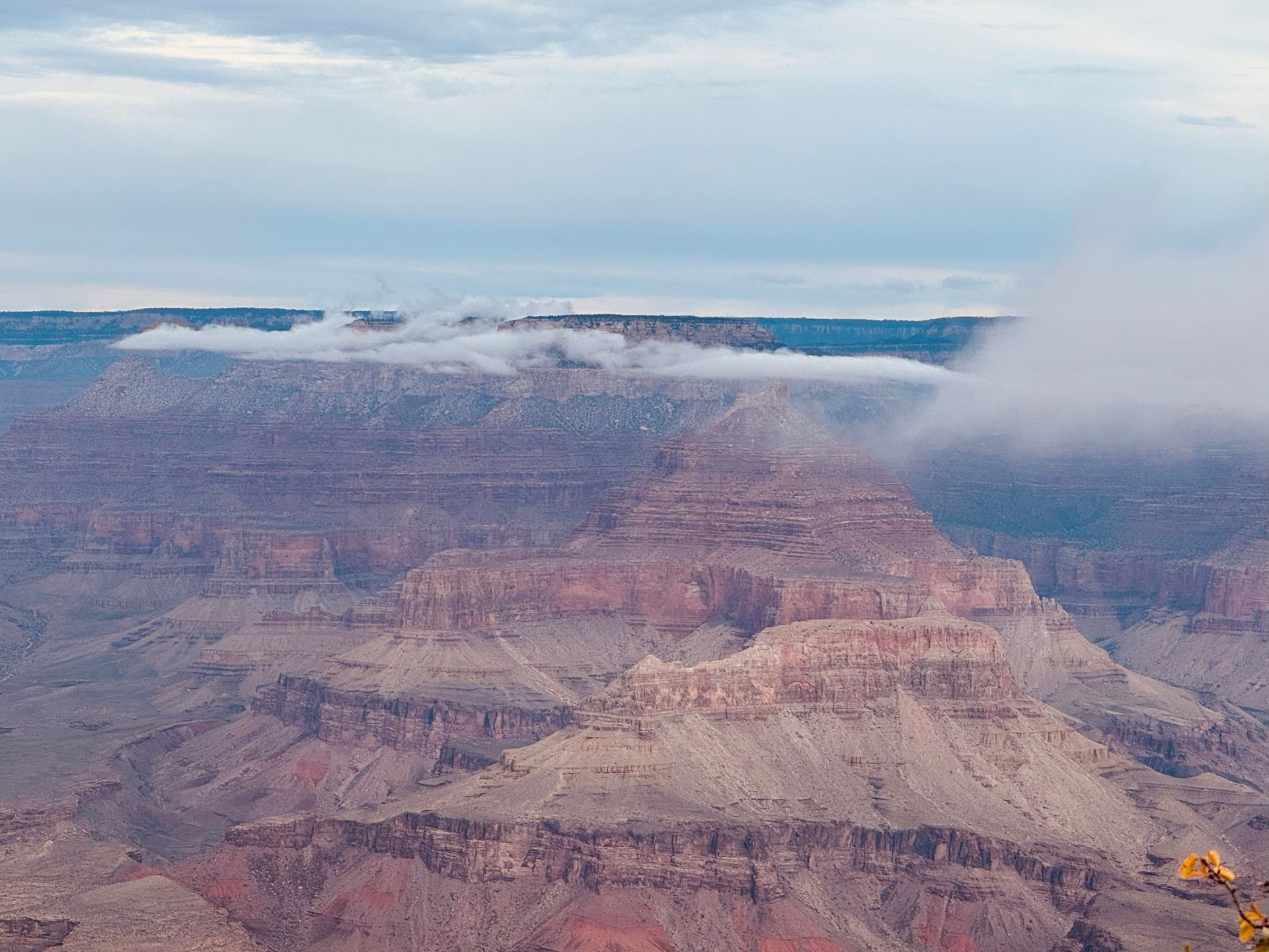 Grand Canyon landscape with clouds partially obscuring layers of reddish-brown rock formations.