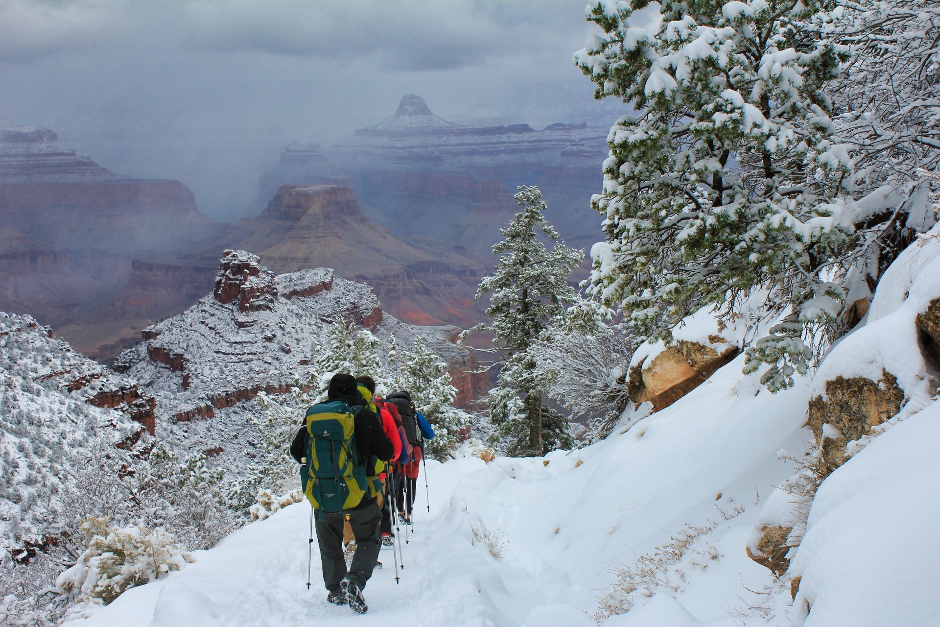 Hikers with backpacks trek through snow on a trail overlooking the Grand Canyon. Snowy trees frame the view.