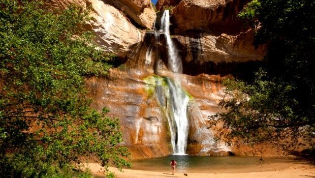 A waterfall is surrounded by trees and rocks in the middle of a forest.