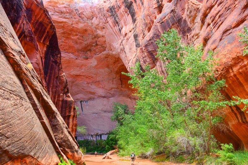 A person is standing in the middle of a canyon.