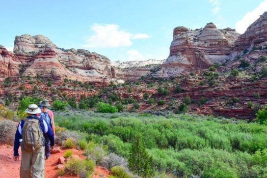 A group of people are walking down a trail in the desert.