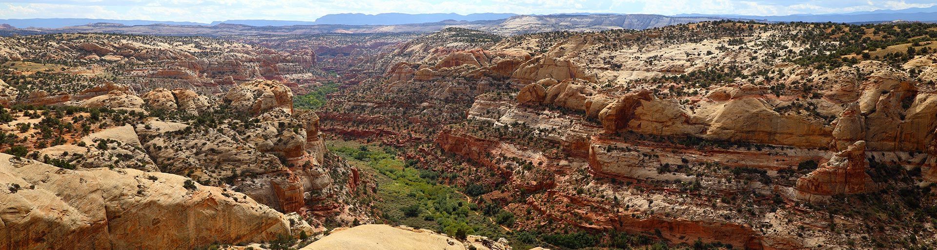 An aerial view of a desert landscape with trees and rocks.