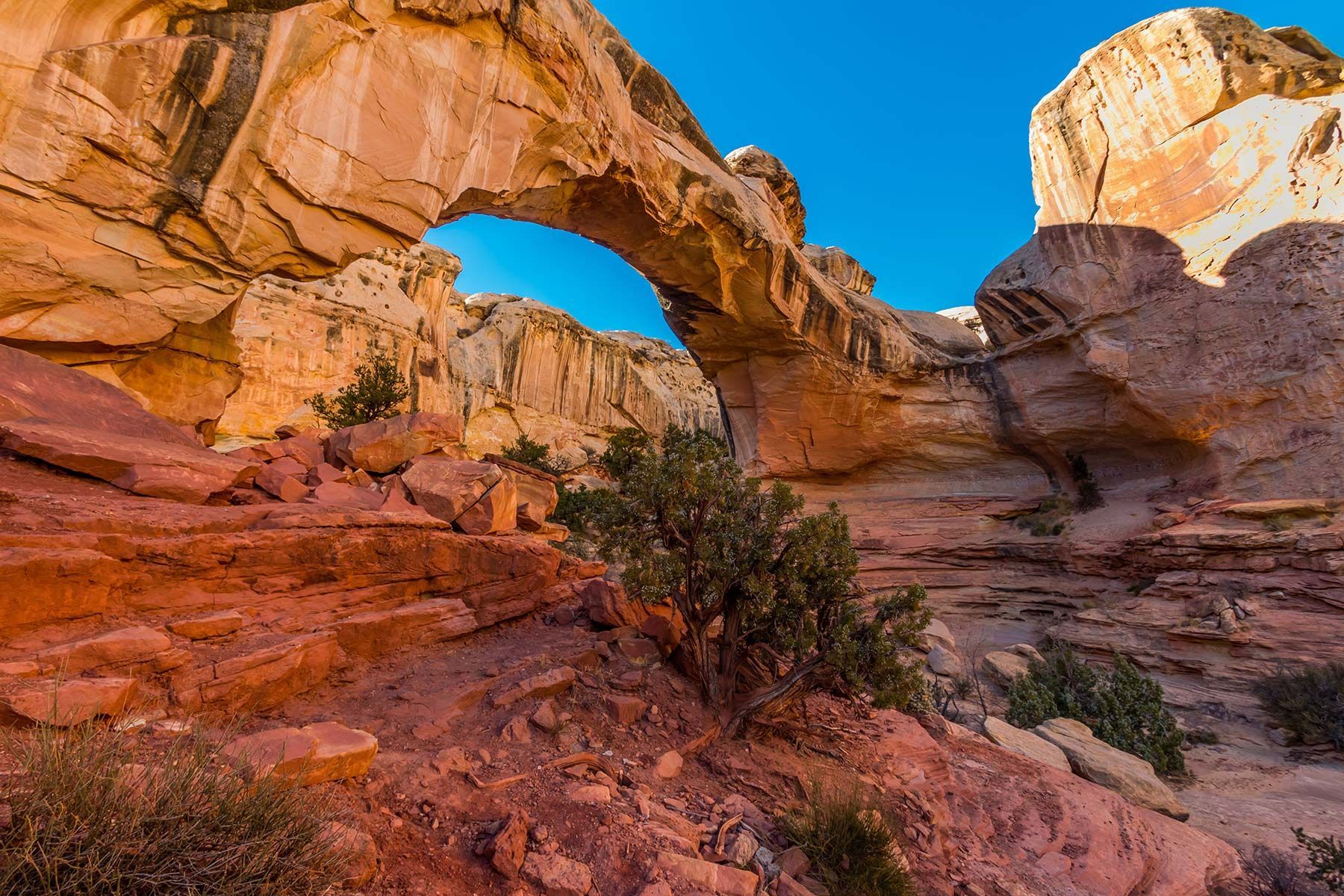 A large rock arch in the middle of the desert.