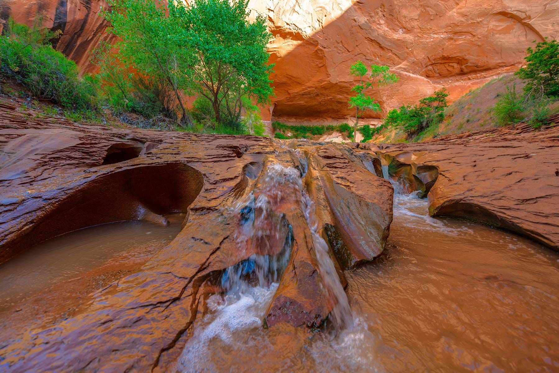 rocks with a river in the middle - Coyote Gulch