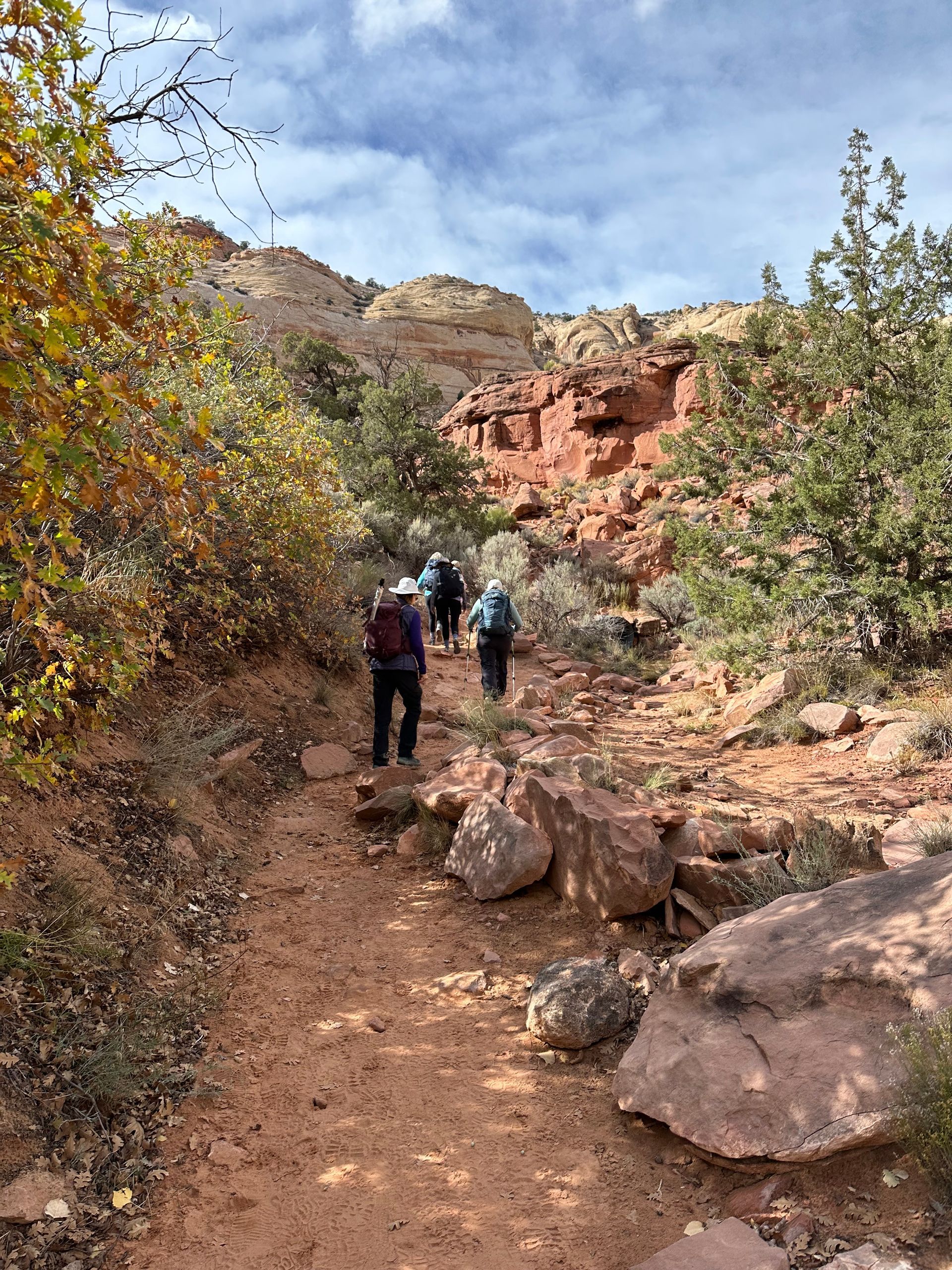 A group of people are walking down a dirt path in the mountains.