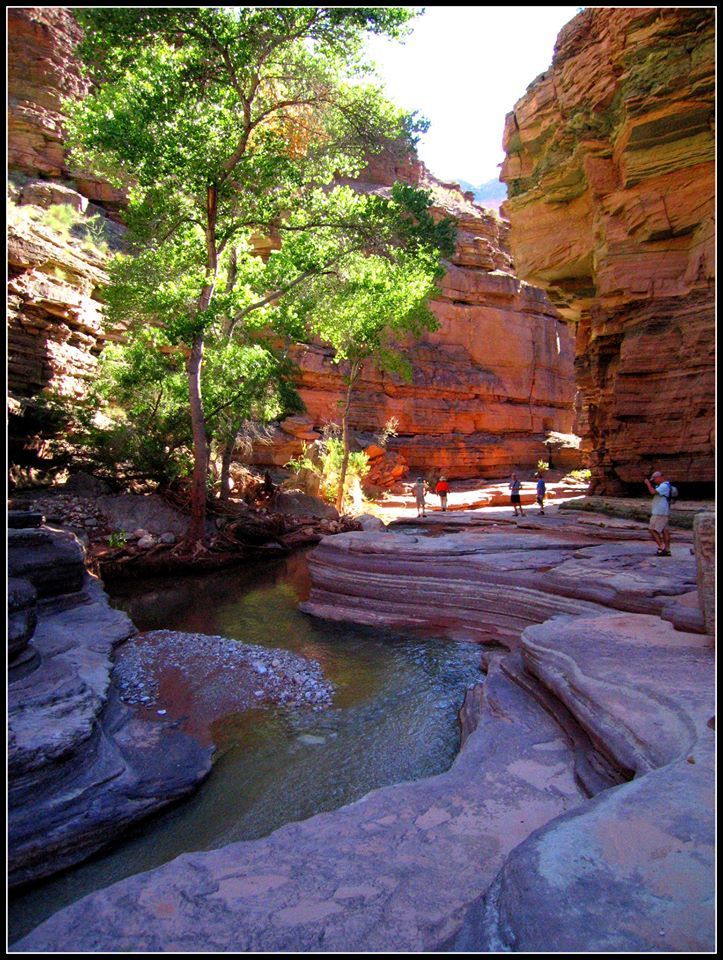 A river surrounded by rocks and trees in a canyon