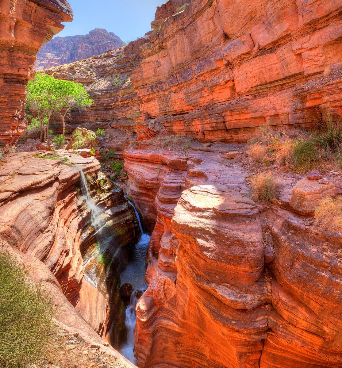 A waterfall is surrounded by rocks and plants in a canyon.