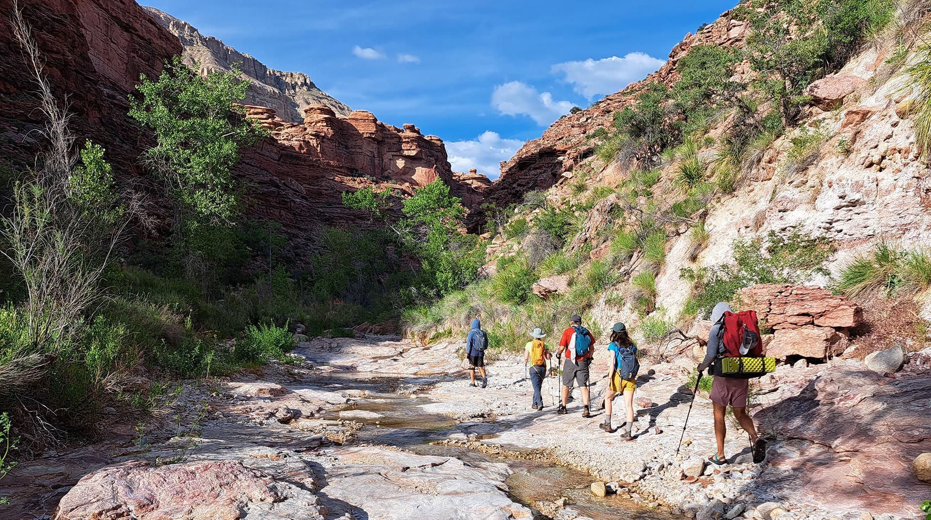 A group of people are hiking down a trail in the mountains.