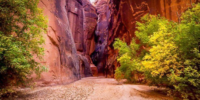 A dirt road going through a canyon surrounded by trees and rocks.