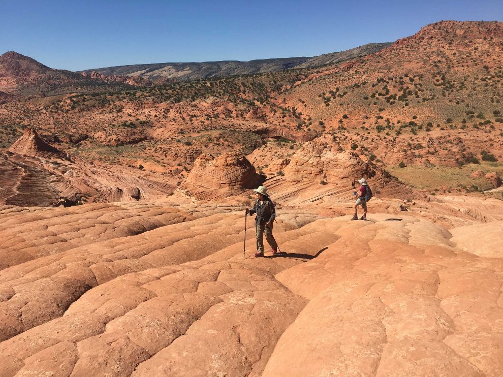 Hikers on a red sandstone desert trail under a clear blue sky