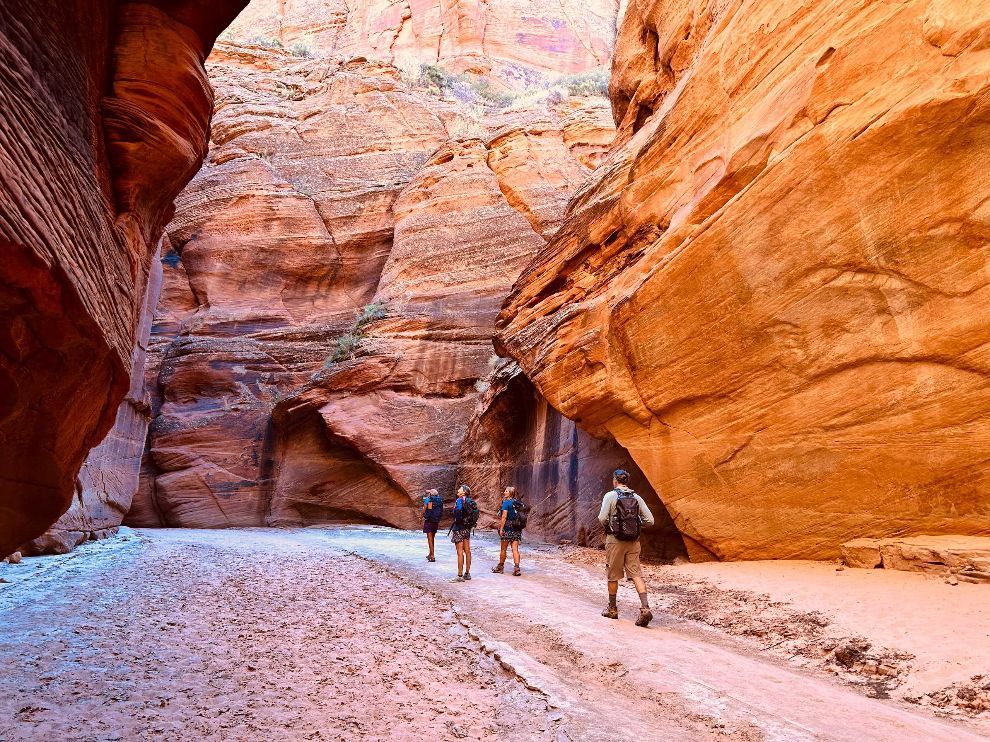 People hiking through a narrow red sandstone canyon with tall, sunlit rock walls