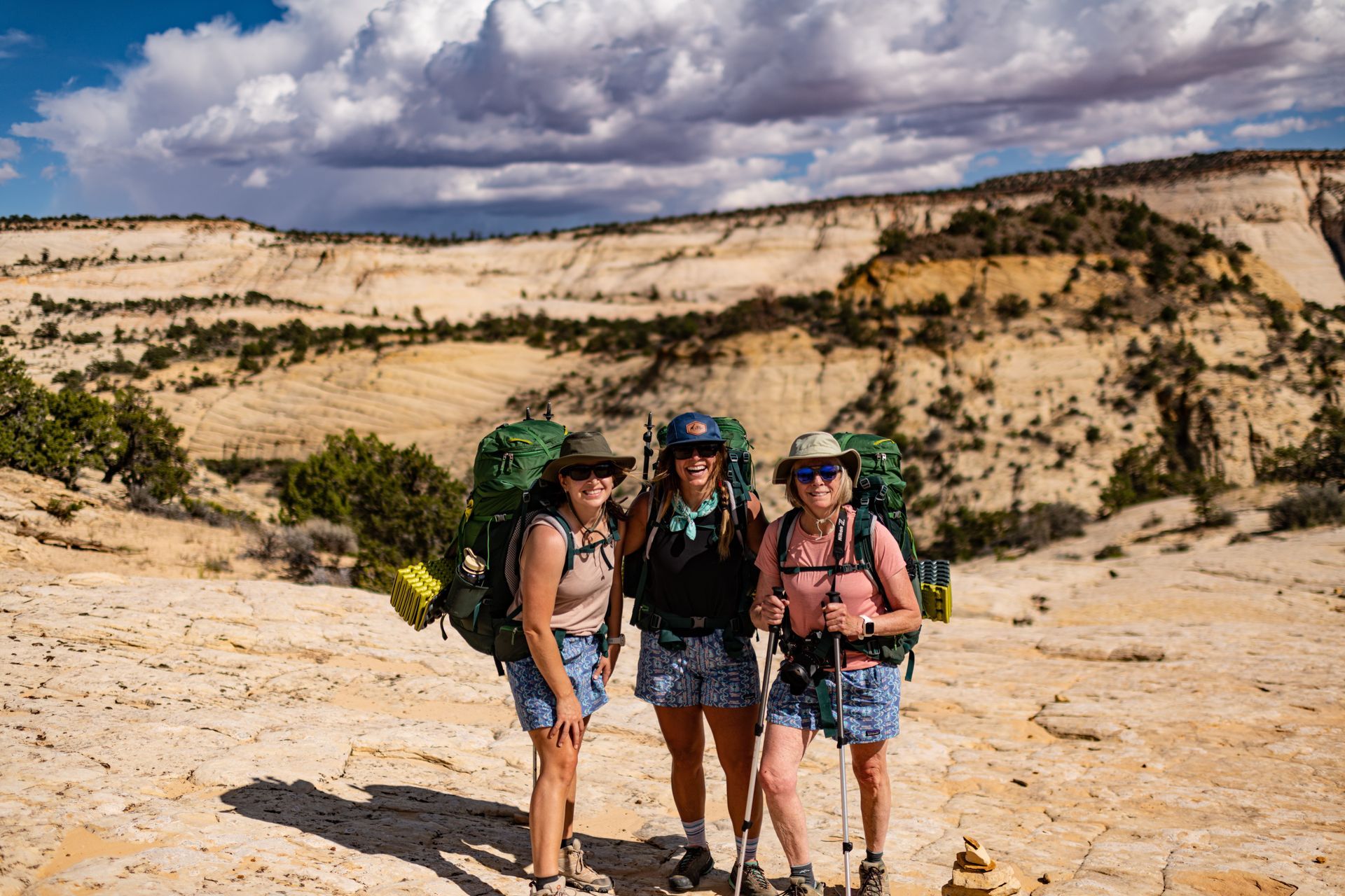 A lush, green forest fills the base of a deep, narrow desert canyon with steep, textured rock walls.