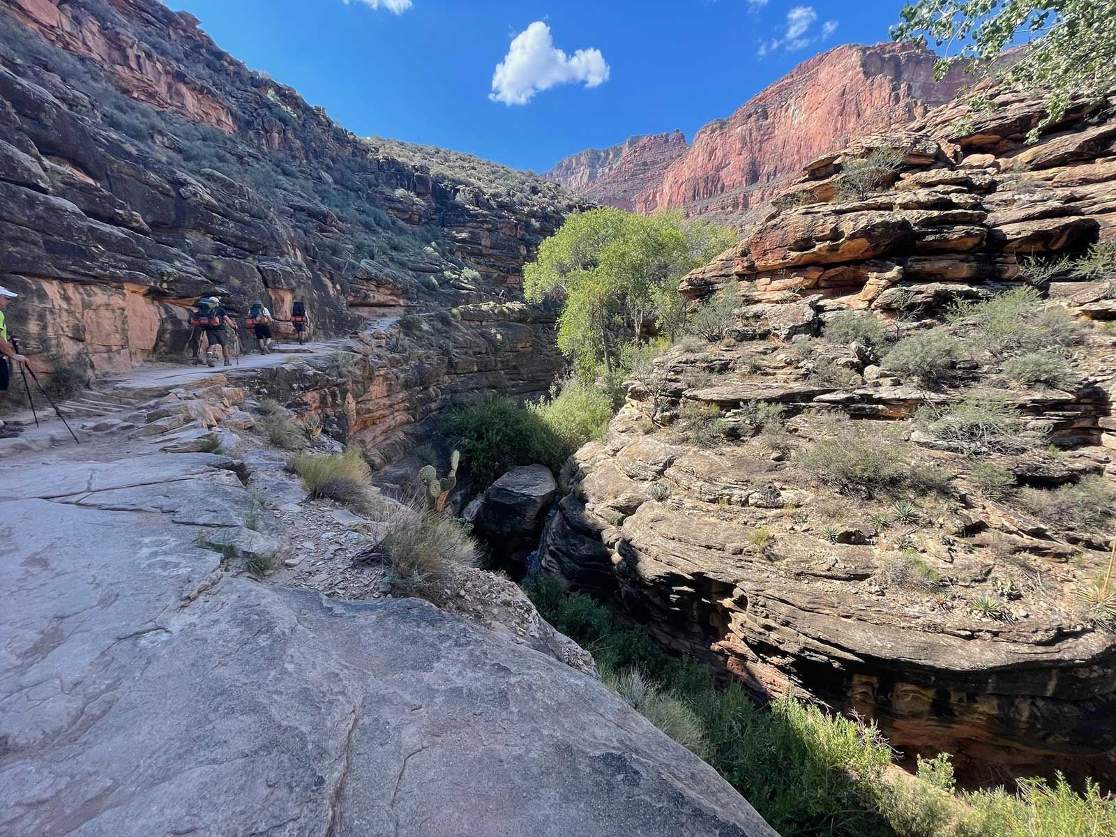 A group of people are walking down a dirt road in a canyon.