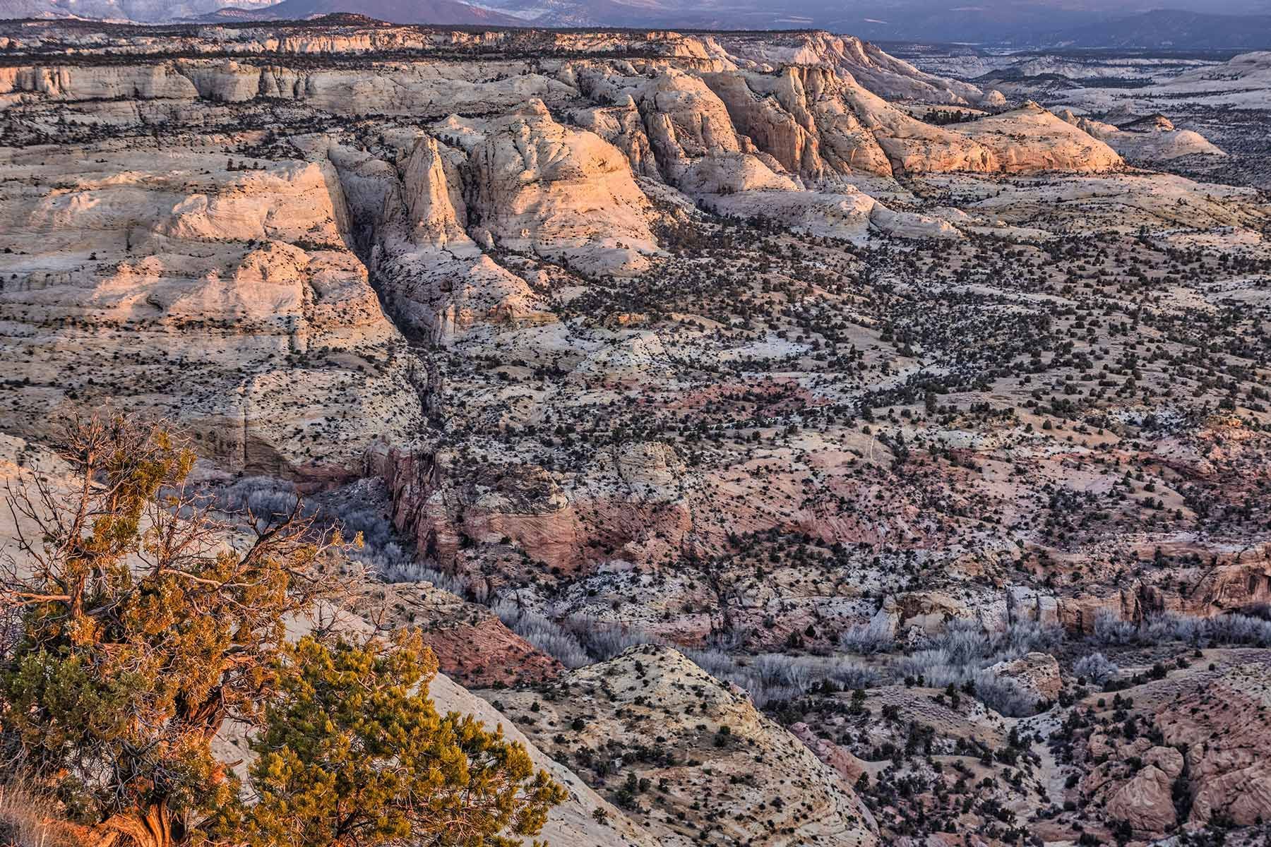 A view of a desert landscape with mountains in the background.