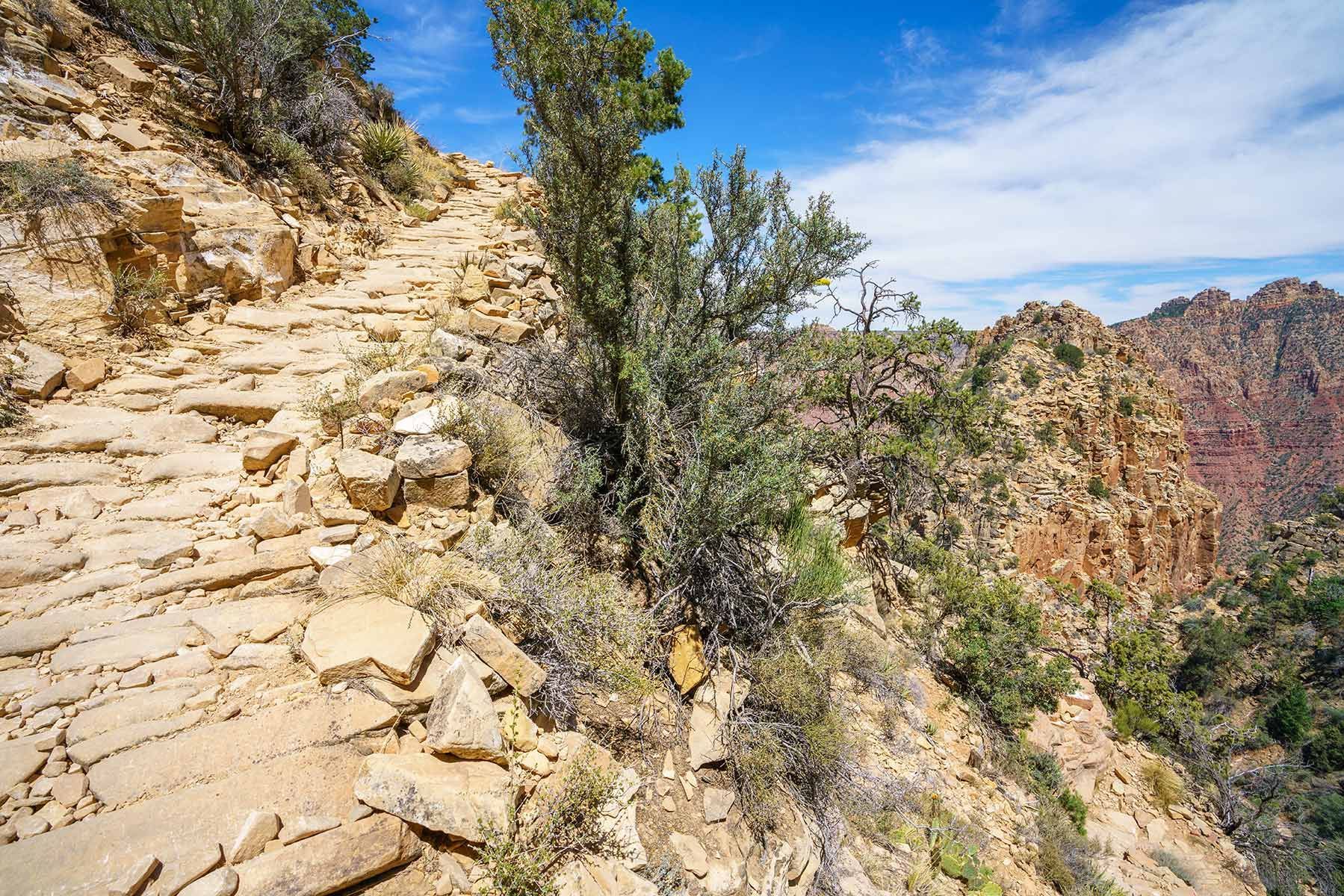 A stone path going up a mountain with trees on the side.