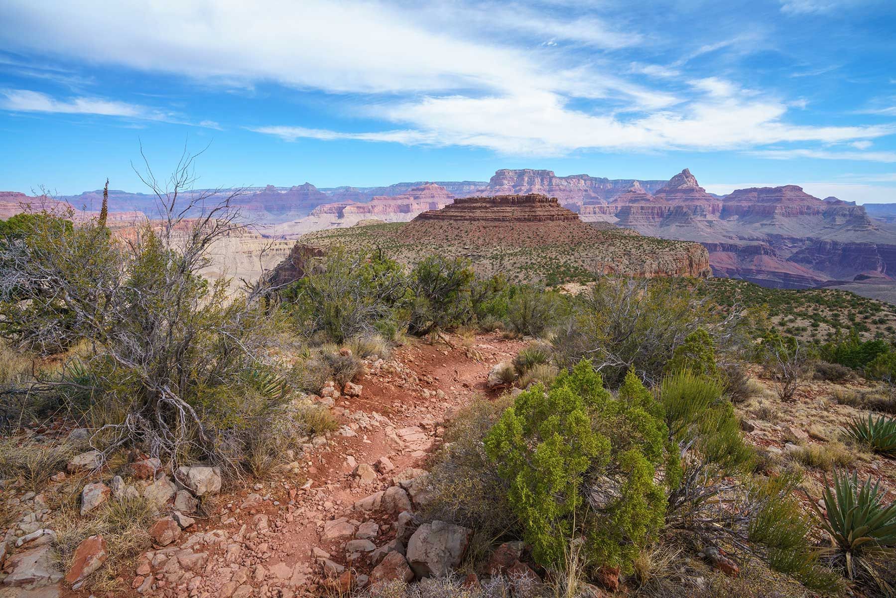 Trail winds through scrub brush on a red rock plateau overlooking the Grand Canyon, blue sky overhead.