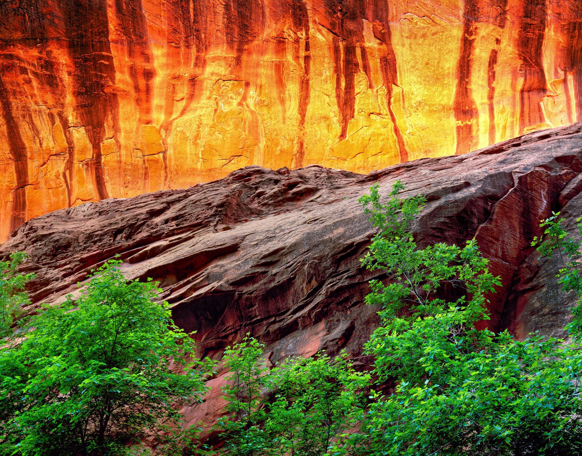 A group of people standing next to each other on top of a mountain.