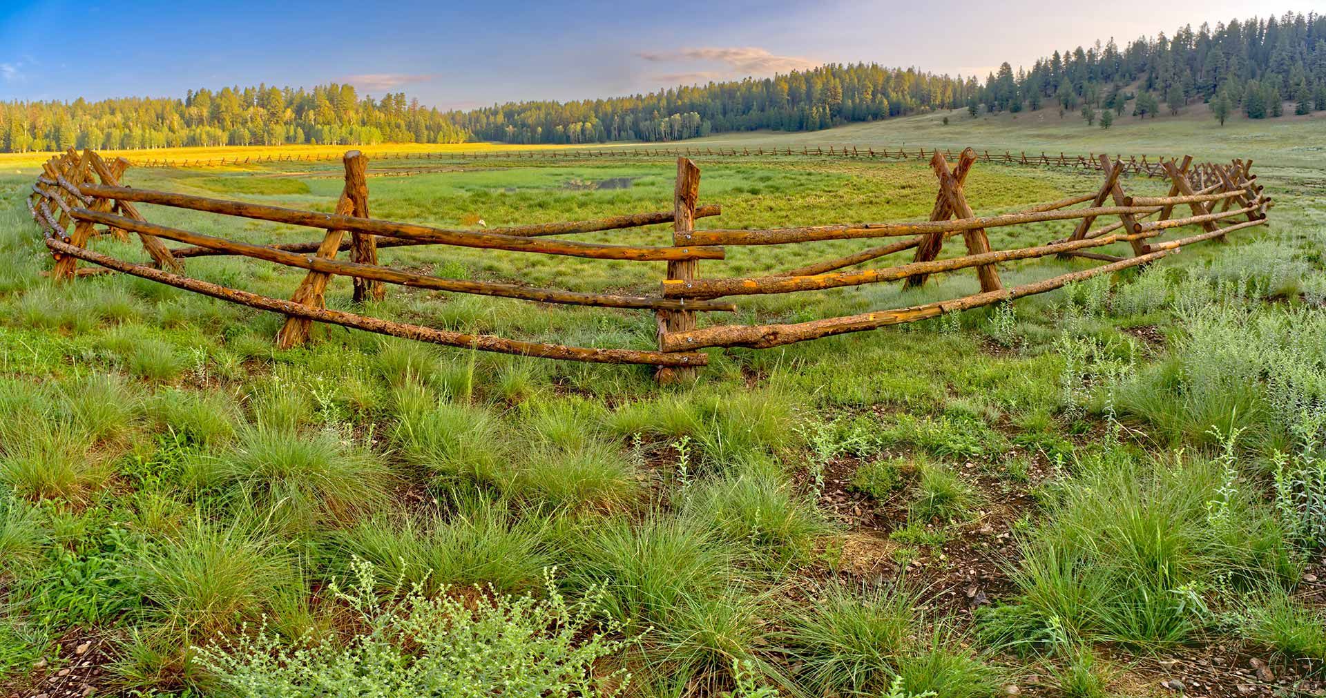 A wooden fence is in the middle of a grassy field.