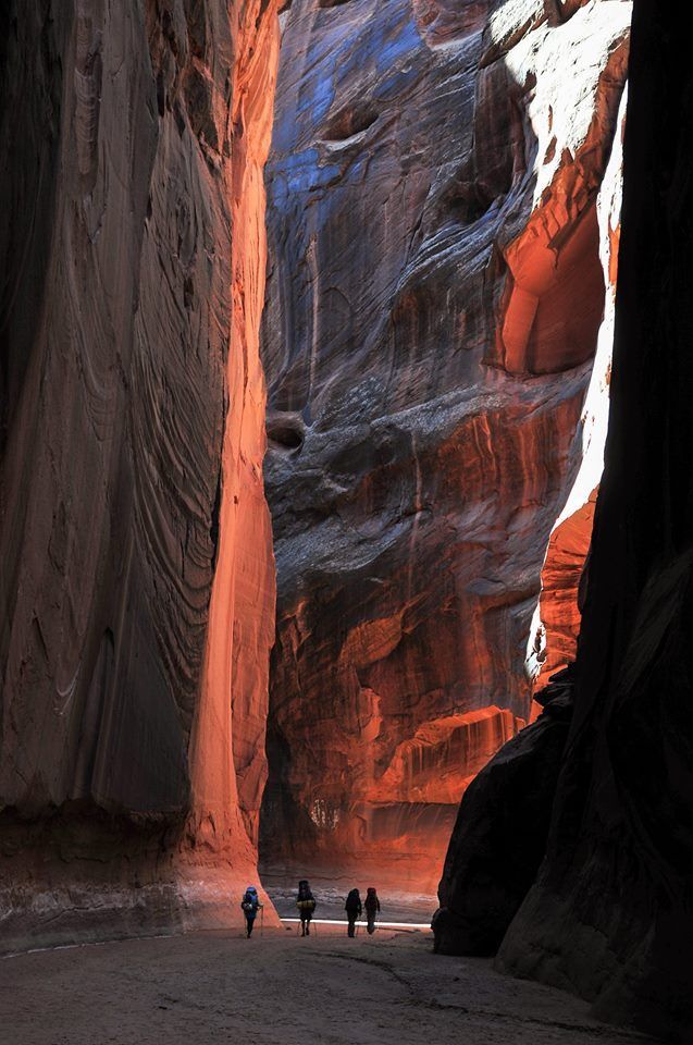 A group of people are walking through a canyon.