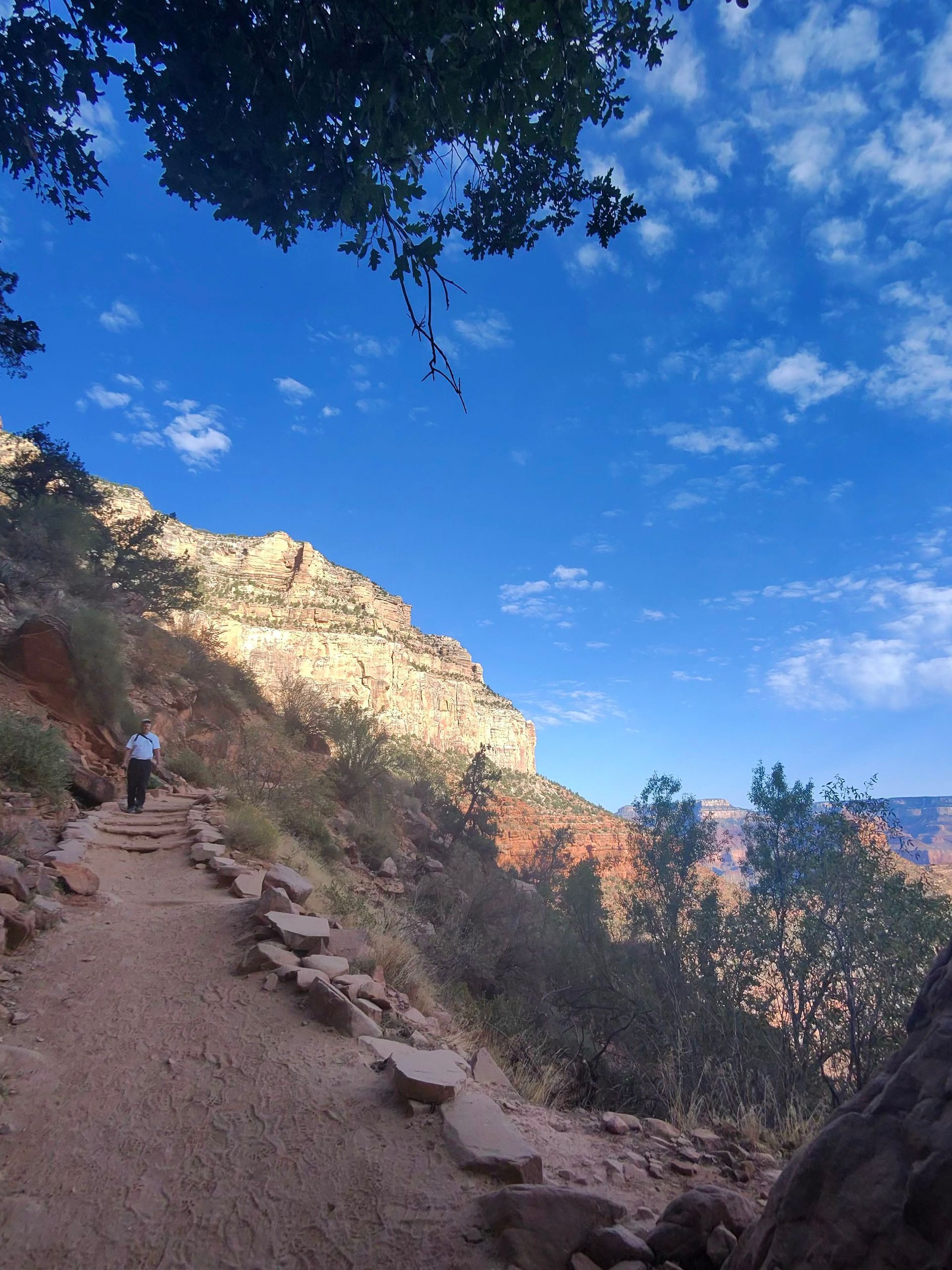 A person walking down a dirt path with a blue sky in the background