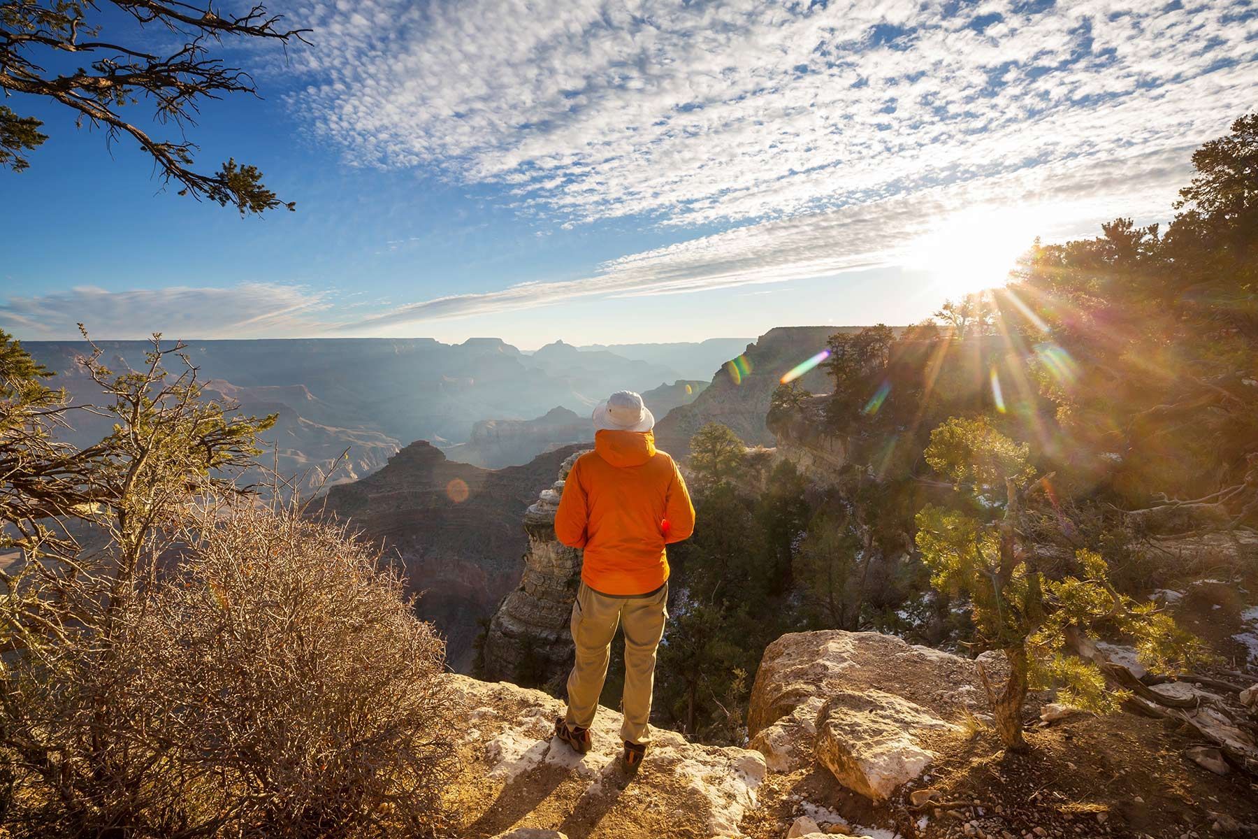 Person in orange jacket gazes at the Grand Canyon at sunrise; bright sun, blue sky, trees.