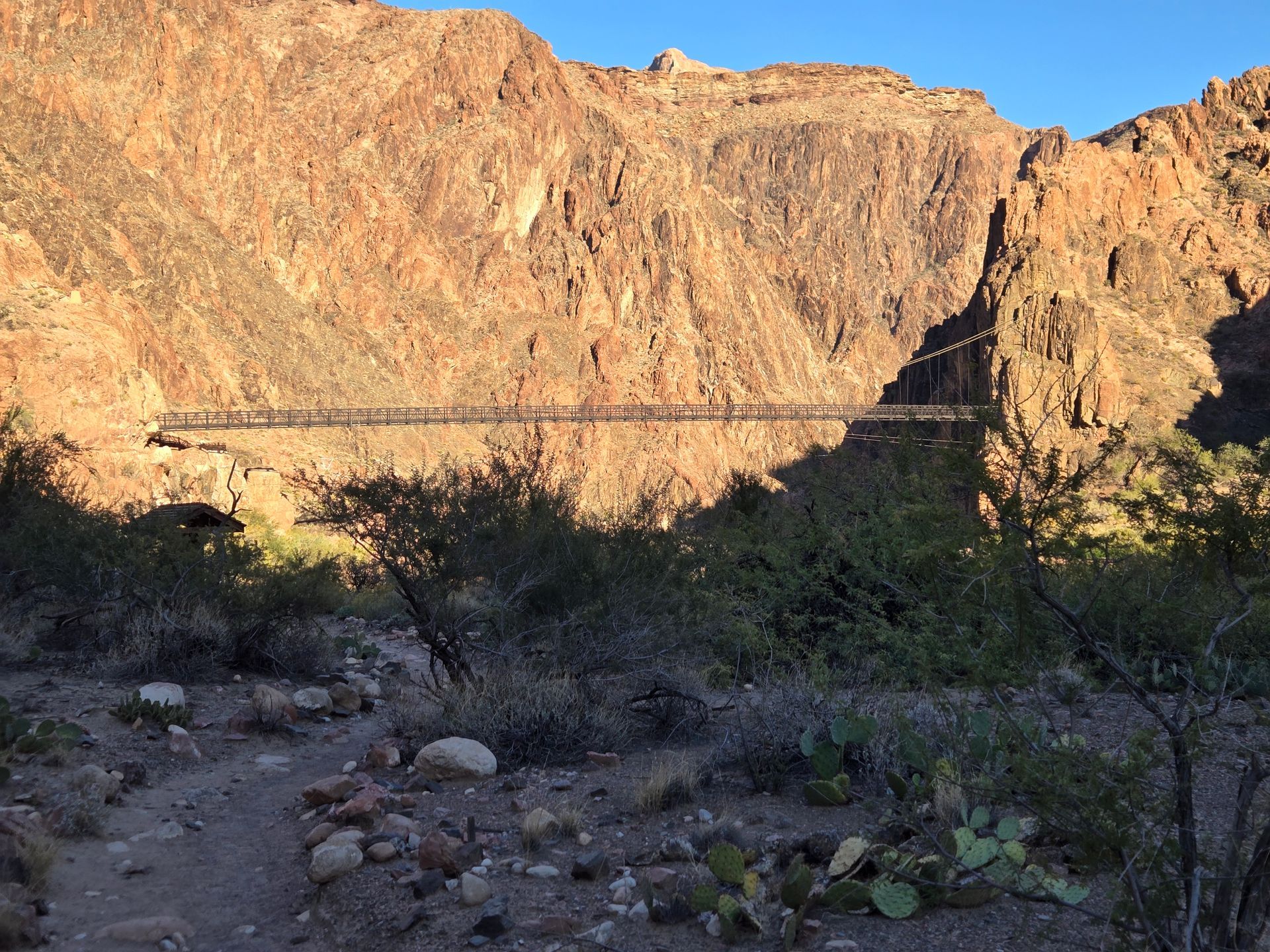 A suspension bridge spans a canyon, bathed in golden sunlight. Thorny bushes and a dirt trail in the foreground.