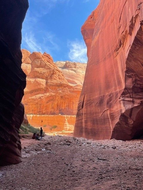 A person is standing in the middle of a canyon.