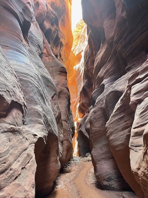 A canyon with a path going through it