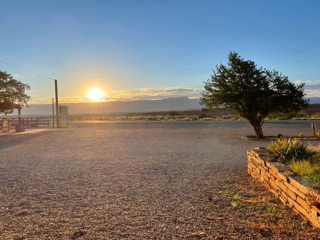 A sunset over a gravel road with a tree in the foreground