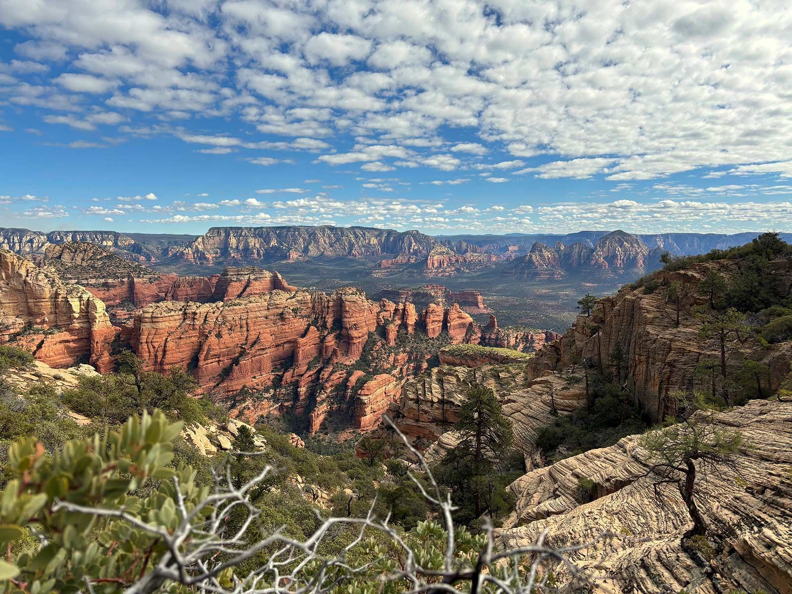 A view of a canyon from the top of a mountain.