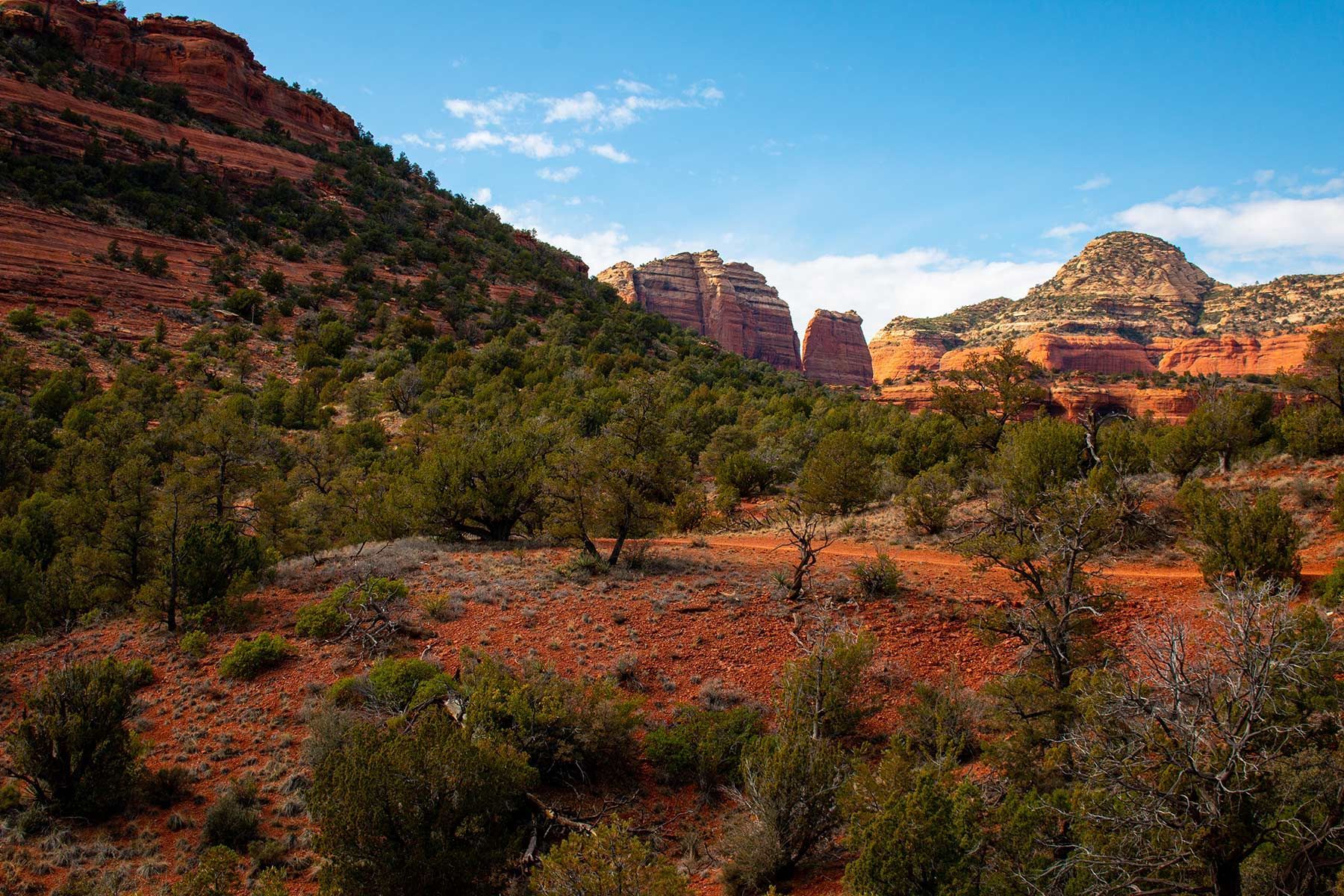 A desert landscape with trees and mountains in the background