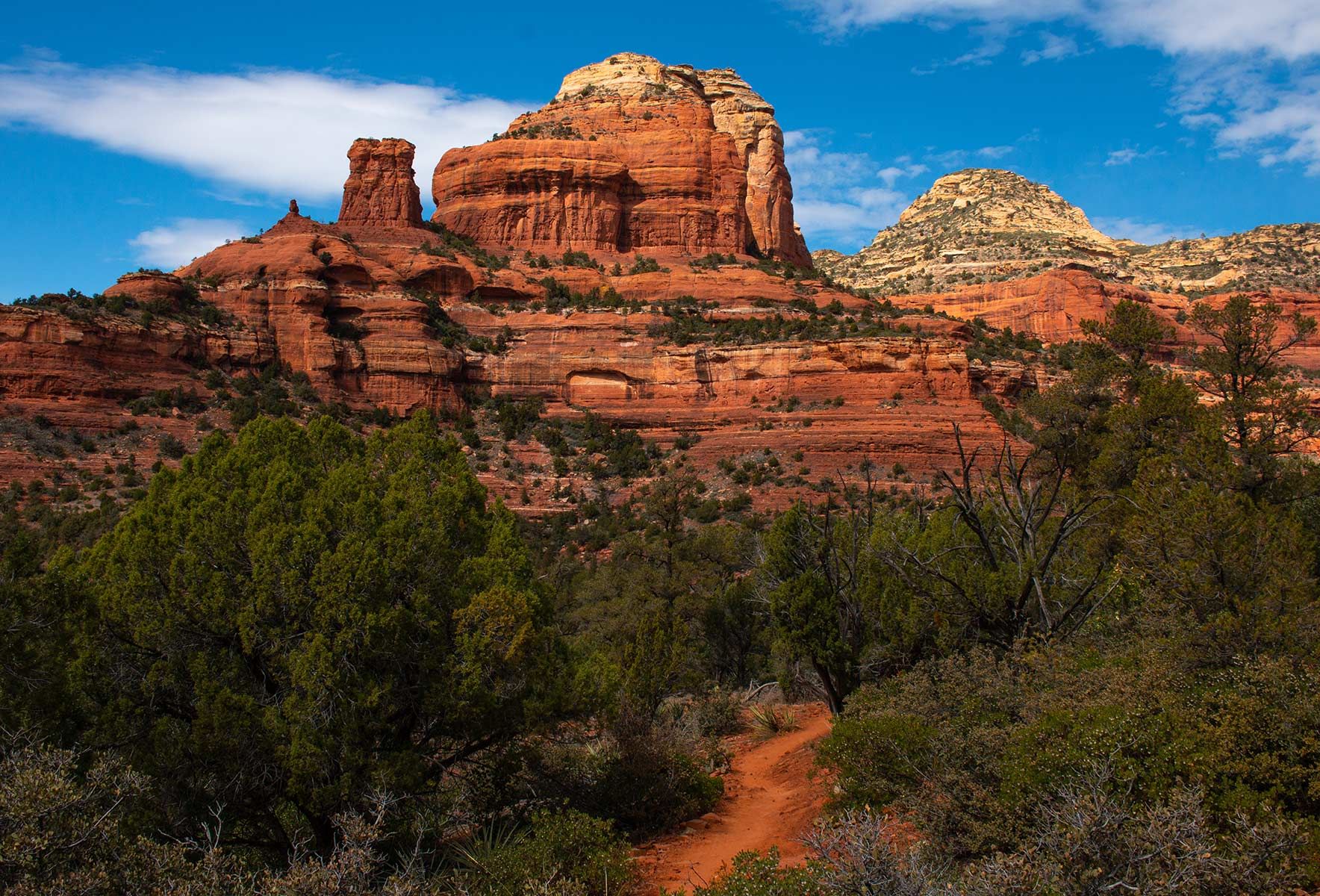 A dirt path leading to a mountain in the desert