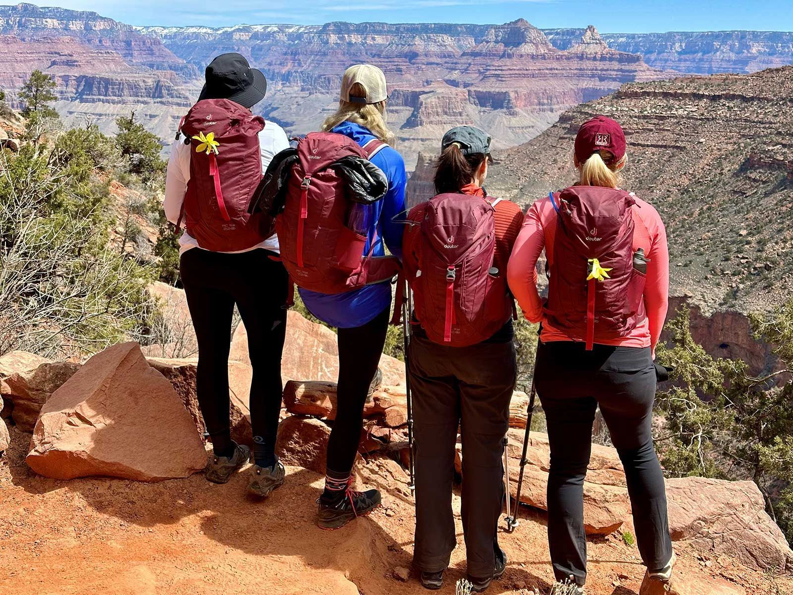 People look over the grand canyon