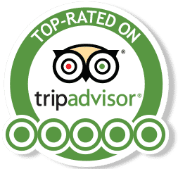 A green and white tripadvisor logo with an owl on it.