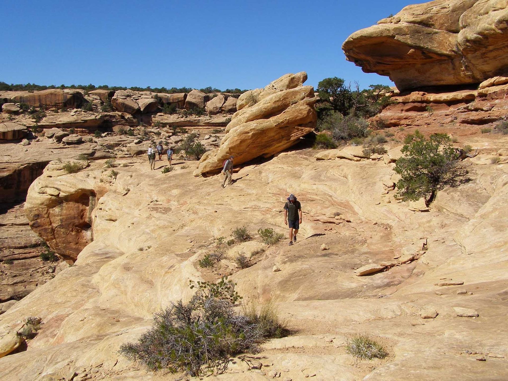 several people hiking on rocks in bears ears 