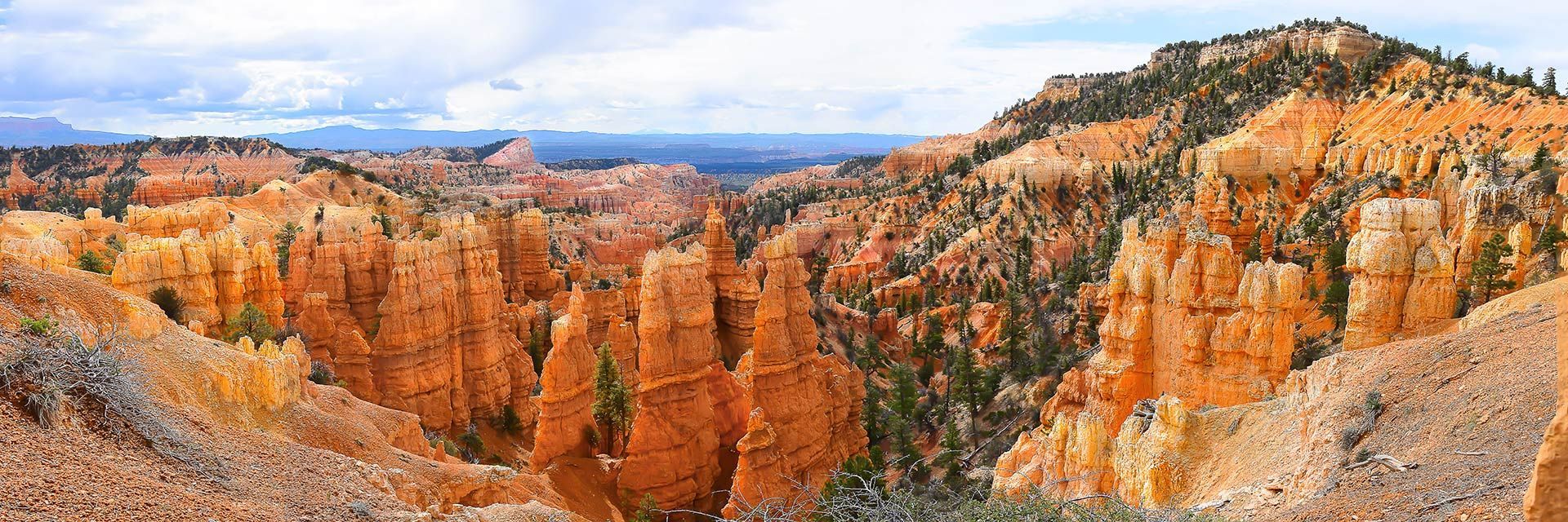 A panoramic view of a canyon with mountains in the background.