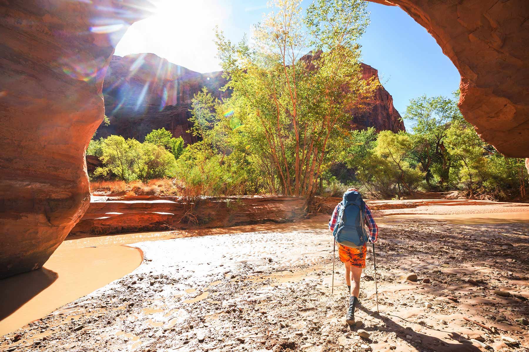 A person with a backpack is walking through a canyon.