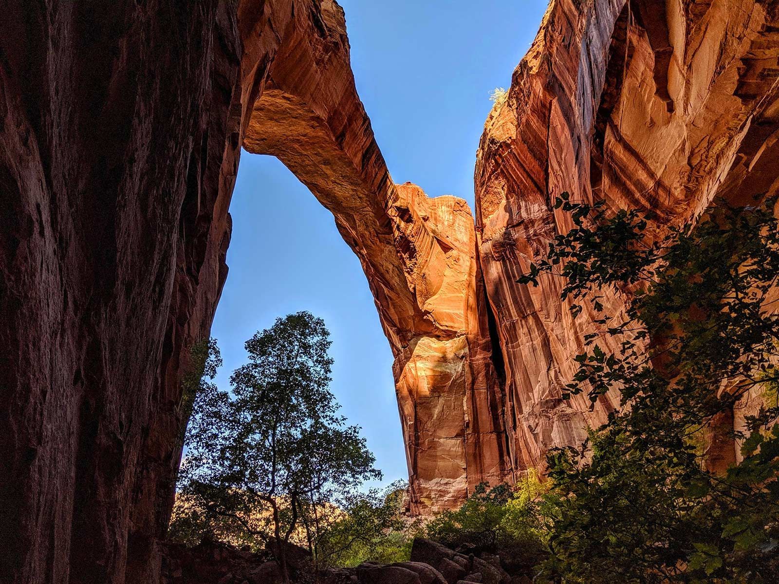 A bridge in the middle of a canyon with trees in the foreground.