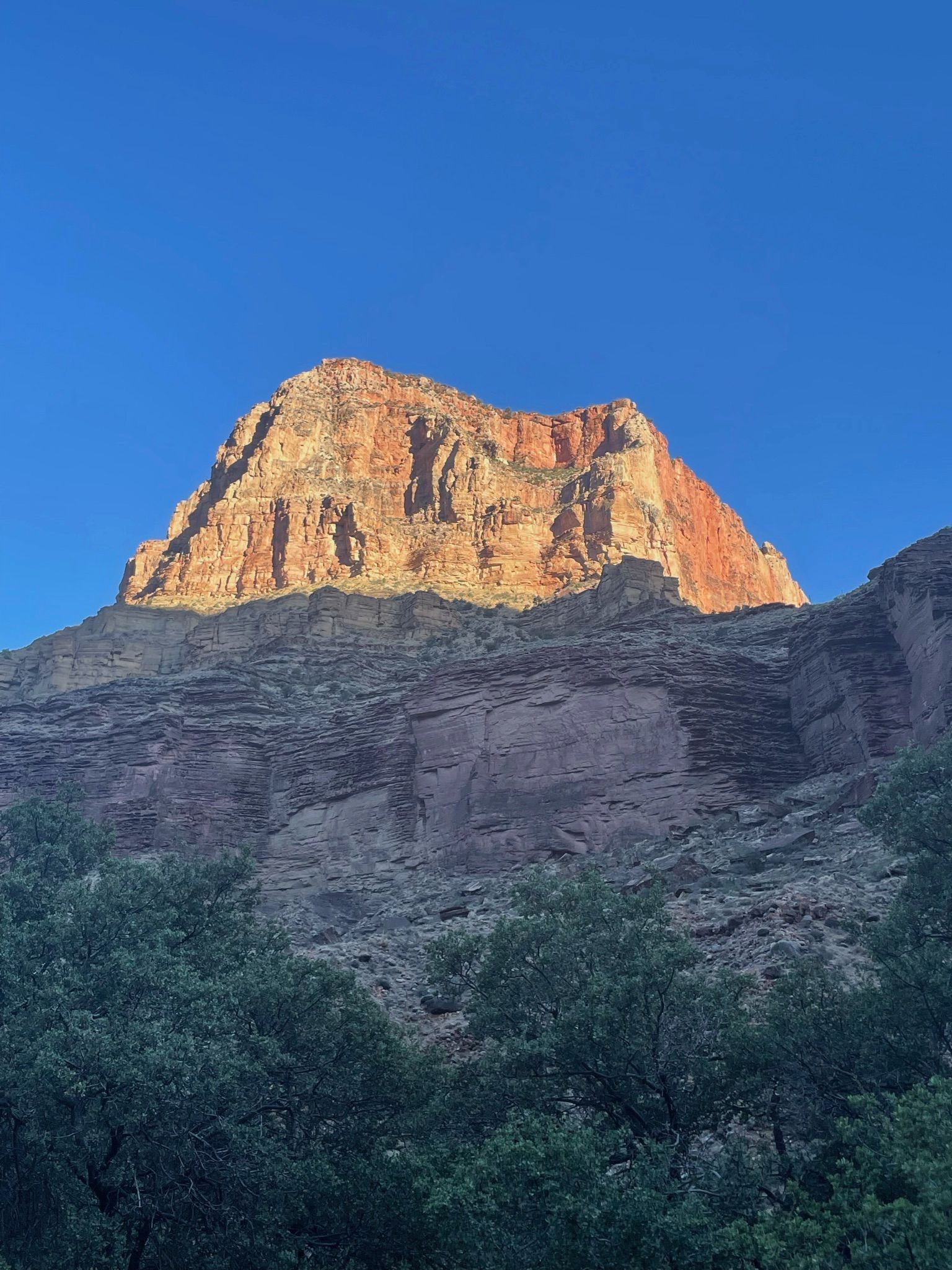 A mountain with a blue sky in the background is surrounded by trees.