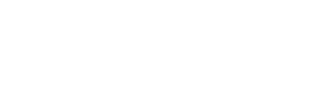 EUROPEAN TRUSTED FLAGGERS