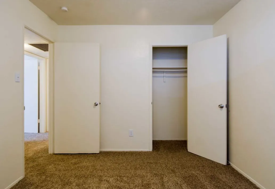 Interior of an empty bedroom with beige carpet, white walls, and an open closet at Brookview, offering apartments for rent near UTPB in Odessa, TX.