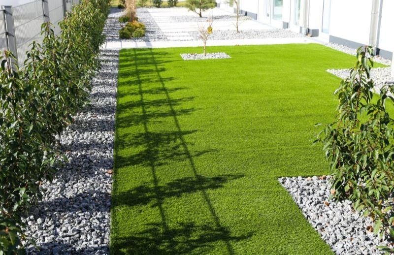 A Lush Green Lawn With a Tree in the Middle of It — Turnscape Landscaping In Broadbeach, QLD