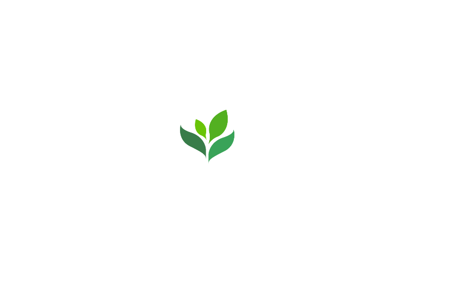 Solution Focused Counseling in Wyomissing, near Reading PA in Berks County offers counseling and therapy for people of all ages.