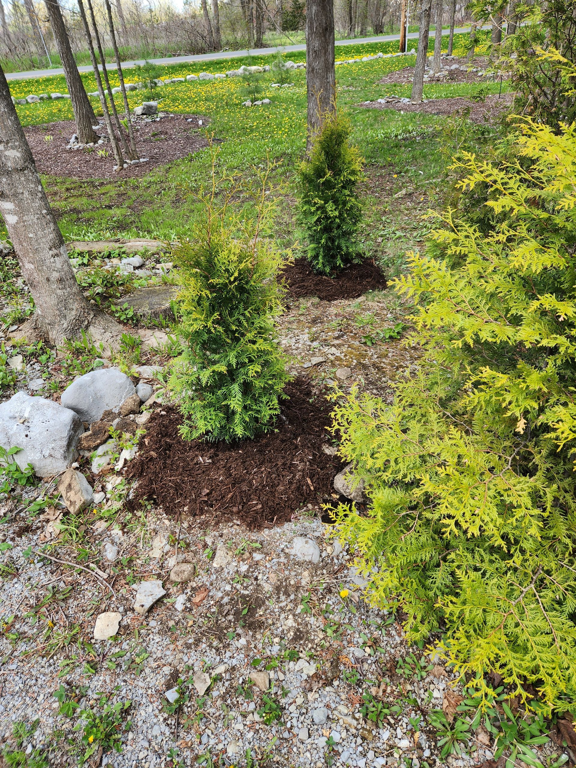 Belleville ontario landscaping