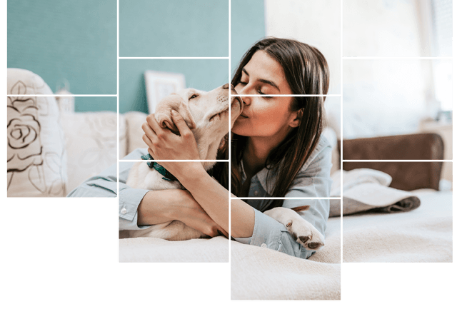 Happy Time with Pet — Plano, Tx — UBP Insurance