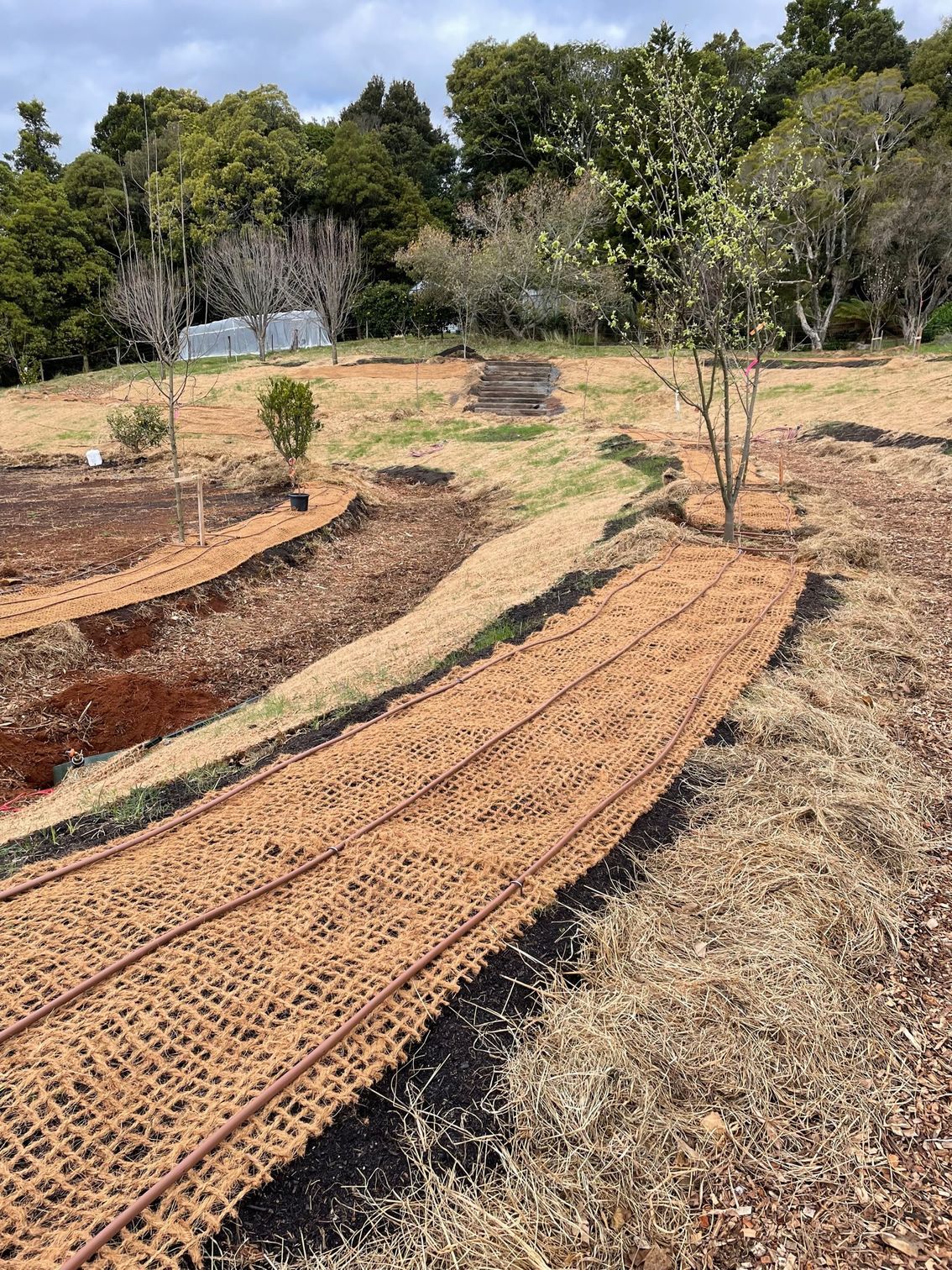 A dirt path going through a field with trees in the background- Irrigation Solutions in Southern Highlands, NSW
