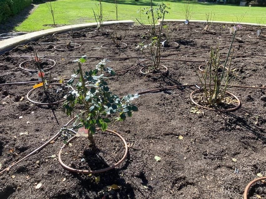 Water System for Garden — Irrigation Solutions in Southern Highlands, NSW