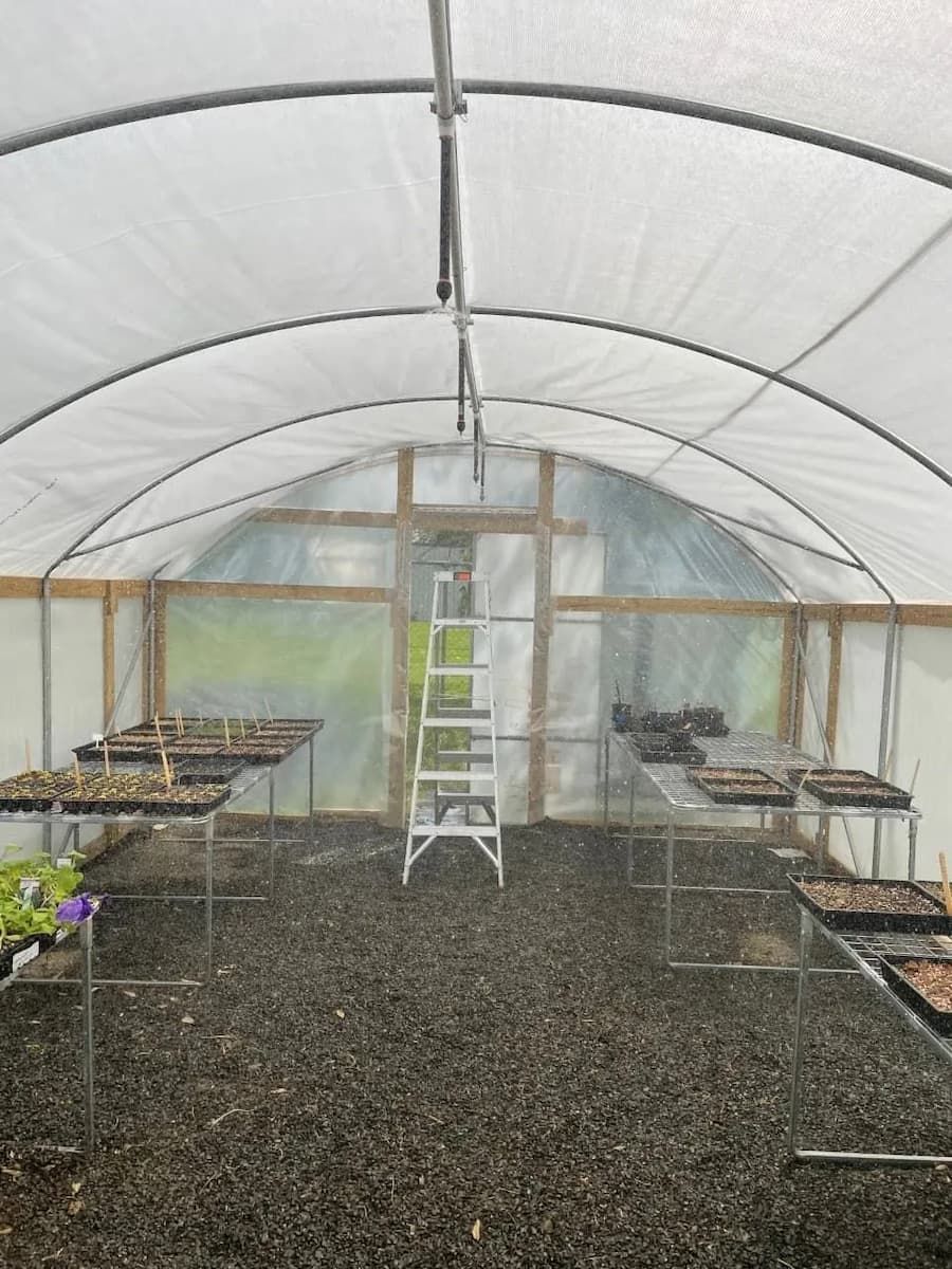 Water Sprinkler Inside the Greenhouse — Irrigation Solutions in Southern Highlands, NSW