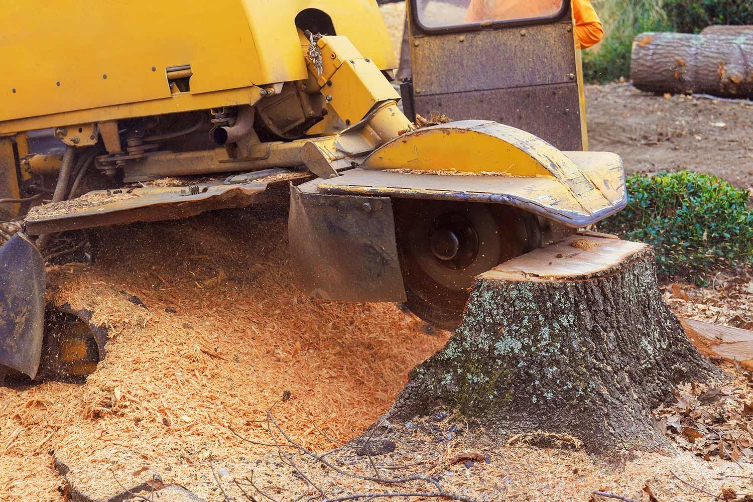 Machine grinding a tree stump