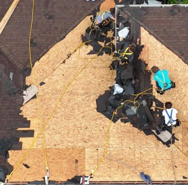 Roofers removing shingles from a house, working on a wooden surface with safety harnesses.
